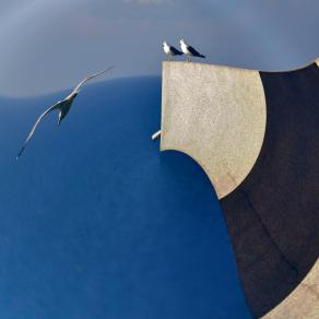 The flight of the mind