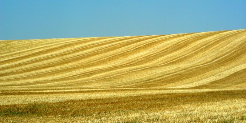 Italia. Basilicata. Potenza (1)