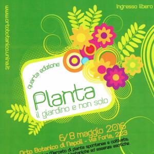 Planta il giardino e non solo