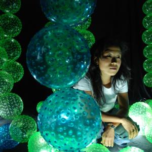 Awards and final exhibition Celeste Prize 2009 Awards and final exhibition Celeste Prize 2009