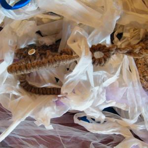 la performance di  Rosa Didonna“Viaggio di una Geisha e la ritrovata Sibilla”