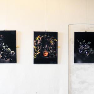 OLTRE L'OBIETTIVO - FOTOGRAFIA E SCULTURA AL CASTELLO DEI GONZAGA