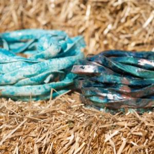 Spontaneo quotidiano / Daniela Barone