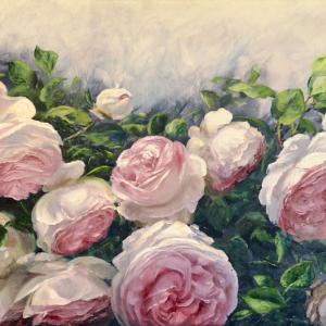 PROFUMI E COLORI MOSTRA A MODENA