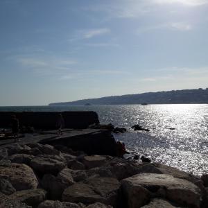 Biennale Libro d'Artista IV edizione a cura di Gennaro Ippolito e Giovanna Donnarumma