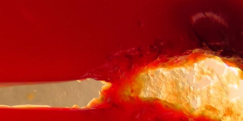 Letizia Rostagno "Auto ritratta"