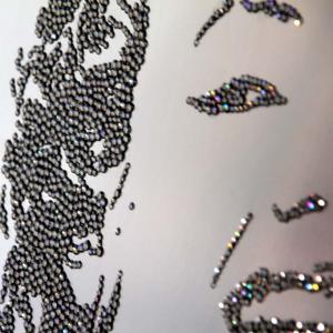 FORMA ET IMAGO al PALAZZO DUCALE DI REVERE (MN) 6-28 GIUGNO 2015