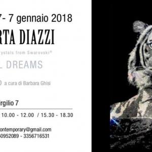 Presentazione di Roberta Diazzi in Galleria Zanini