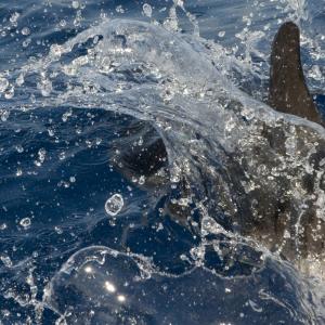 "mare rumore e silenzi"