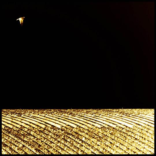 Eternit A | festival di Internazionale 2012