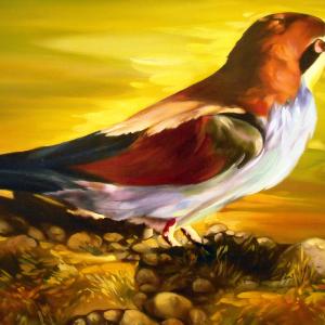 Altra Natura a Revere (mn)