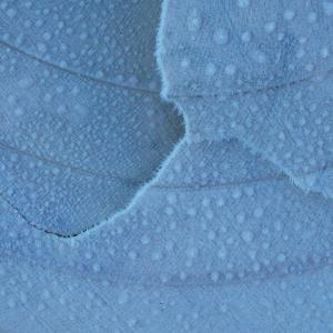 TRACCE SVELATE 2011 - FOTOGRAFARE - Personale Paola Marinelli TRACCE SVELATE 2011 - FOTOGRAFARE - Personale Paola Marinelli