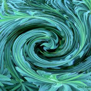 vortice confusionale 2