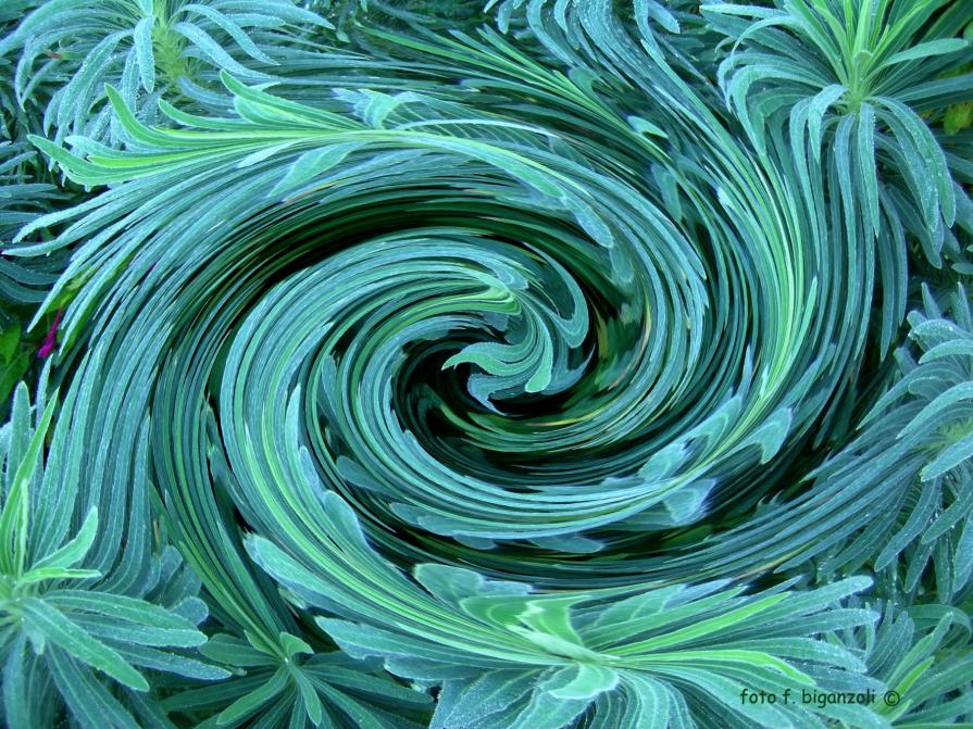 vortice confusionale 2