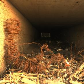Fragile al limite di un tunnel che sfocia sul mare 