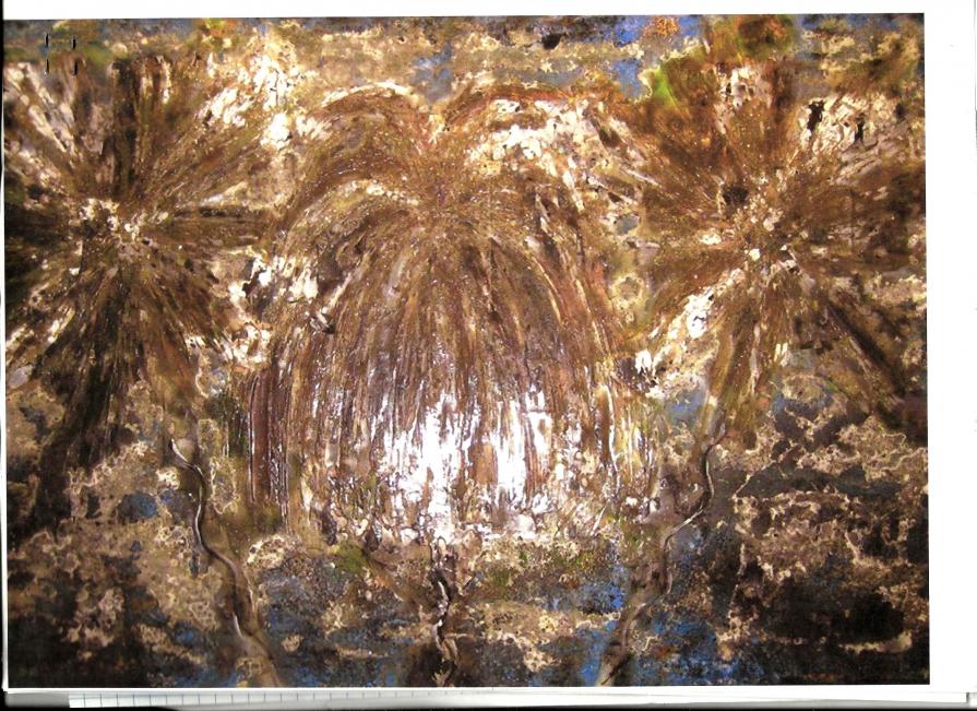 L'ultima immagine che rimane negli occhi dei fuochi d'artificio L'ultima immagine che rimane negli occhi dei fuochi d'artificio