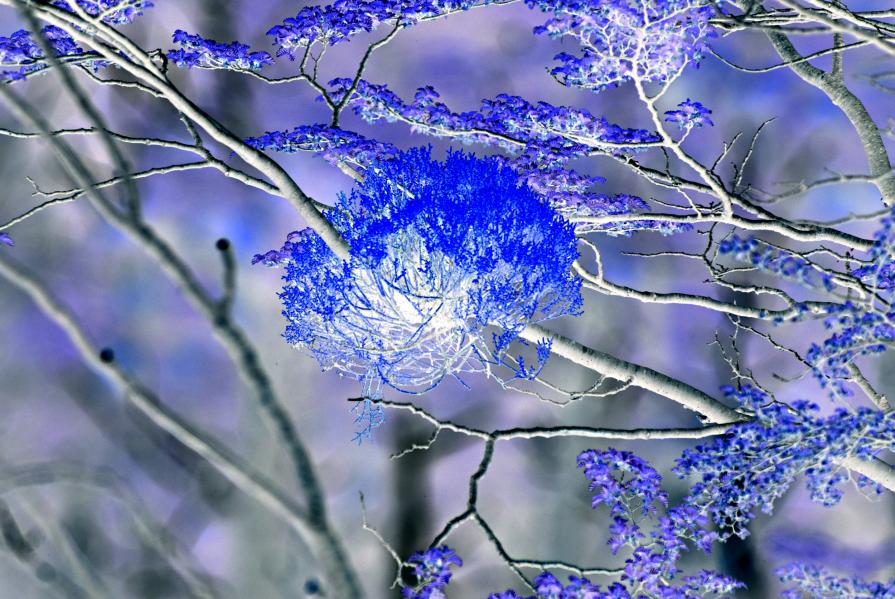 WoodBergs'12 Beginning|as|end