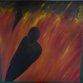 Shadows in the fields