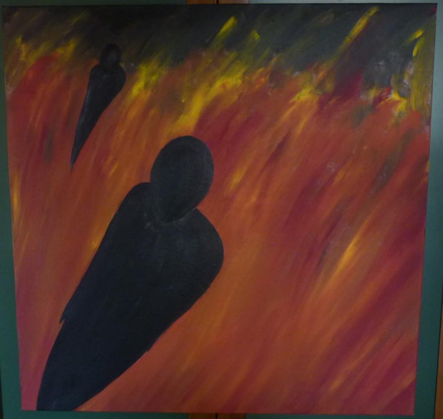 Shadows in the fields