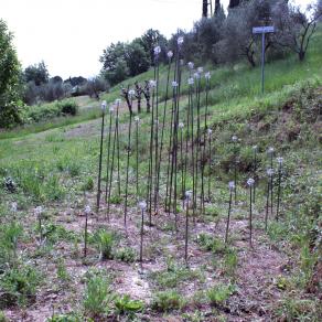 movimento ascendente