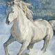 Cavallo bianco