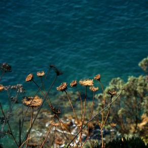 La normalità di essere parte integrante della natura