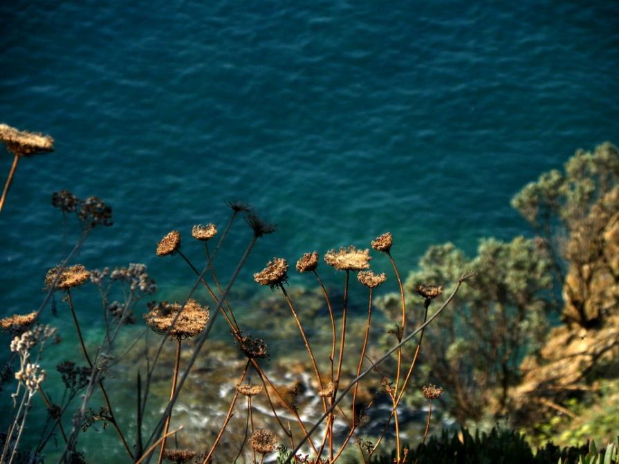 La normalità di essere parte integrante della natura