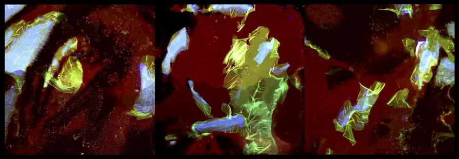 L´Homme éclaté L´Homme éclaté