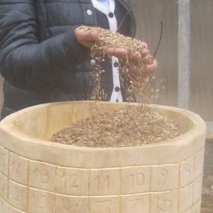 istallazione ambientale, semina 2014