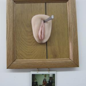 Florida Serial Killer Series. Installation with Girls' School