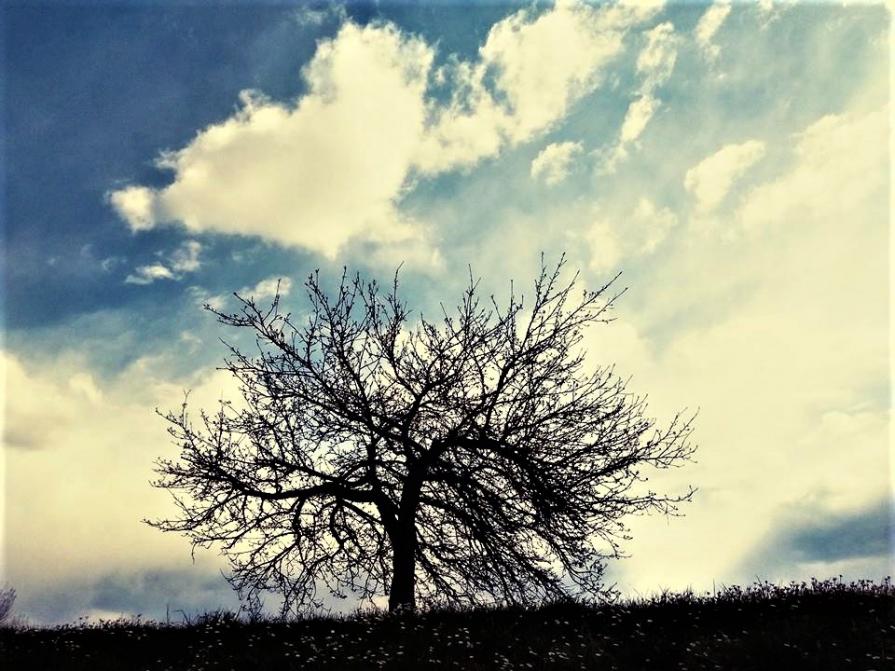 Passeggiando - Angelo mio ci sei  <3