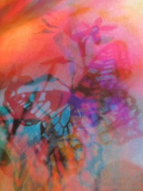 I COLORI DELLA BIODIVERSITÀ