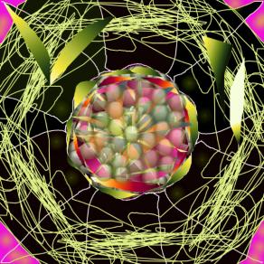 mandala expression - 1