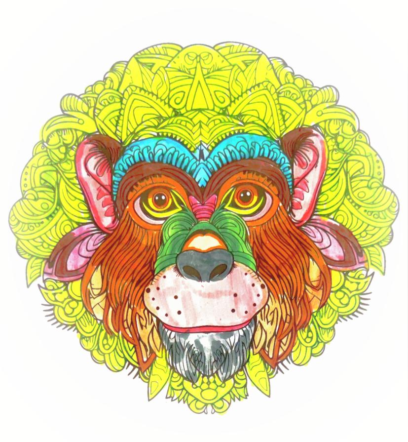        ... Sotto il sole tropicale ...