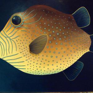 ZOO D'ARTE, L'ARCA DI NOè ALLA GALLERIA ARTEARTE DI MANTOVA