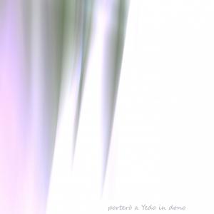 Il sorriso di Roberta per l'UNICEF - Progetto "100% Vacciniamoli tutti" Il sorriso di Roberta per l'UNICEF - Progetto "100% Vacciniamoli tutti"