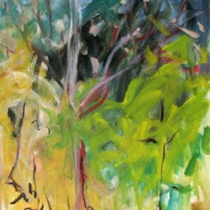 Dialogo con la Natura- oltre i 16:9