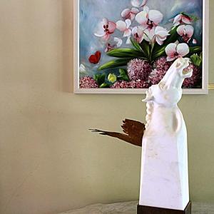 Natura:Luci e Ombre a Modena.