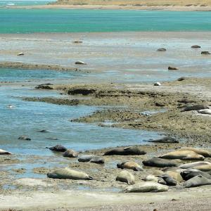 Argentina. Patagonia