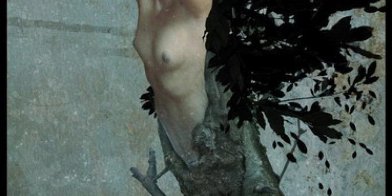 Metamorfosi Metamorfosi