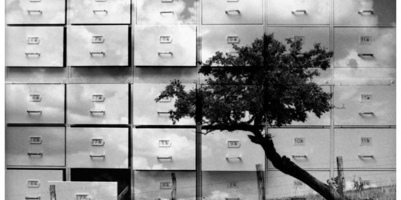 Here are the winners of the Cascella Award 2019