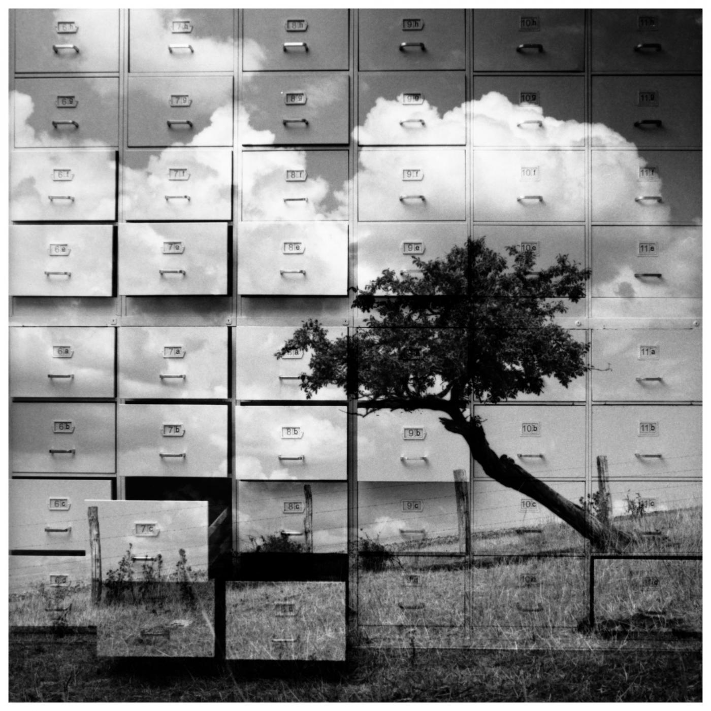 Ecco i vincitori del Premio Cascella 2019