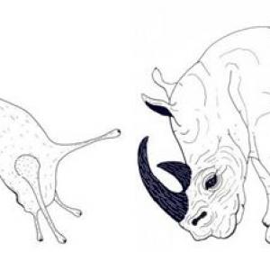 Naturacultura - madre terra