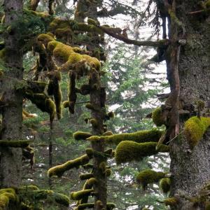 USA. Alaska 2/3. Confini e oltre