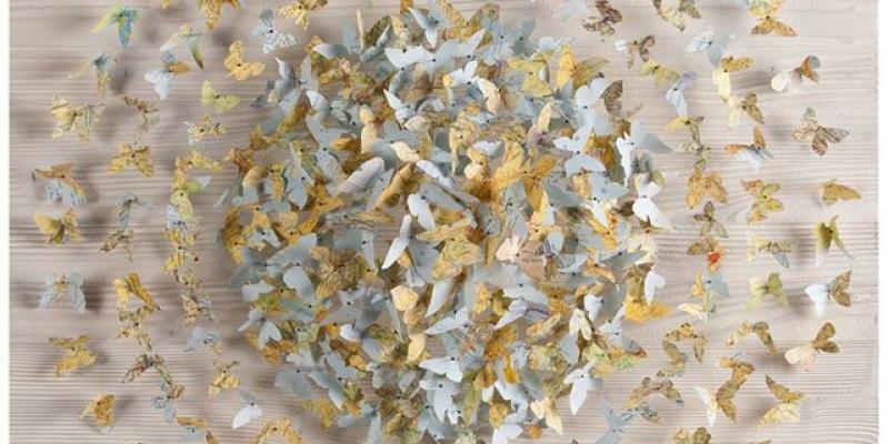 PREMIAZIONE - 4° CONCORSO "GIOVANI TALENTI PER FERRARA" PREMIAZIONE - 4° CONCORSO "GIOVANI TALENTI PER FERRARA"