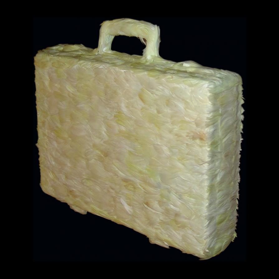 E-MIGRAZIONE  (vere piume su oggetto dimensioni reali)