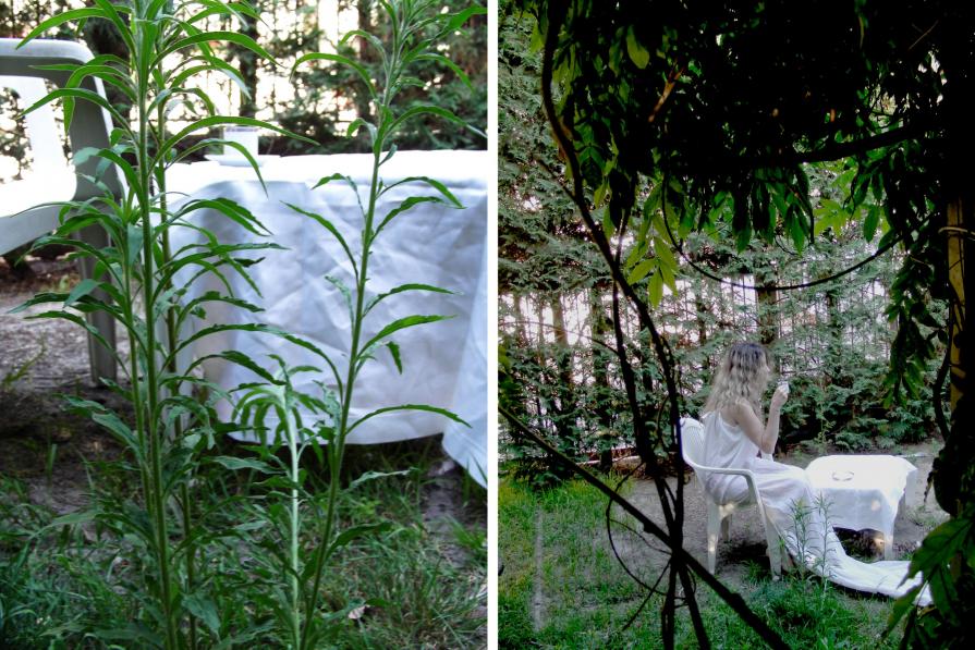 hide and reveal (nascondere e rivelare) hide and reveal (nascondere e rivelare)