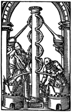 LA TRASMUTAZIONE DEL CANE IN CAPRA