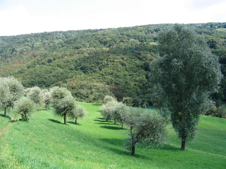 Paradies/Paradise/Paradiso