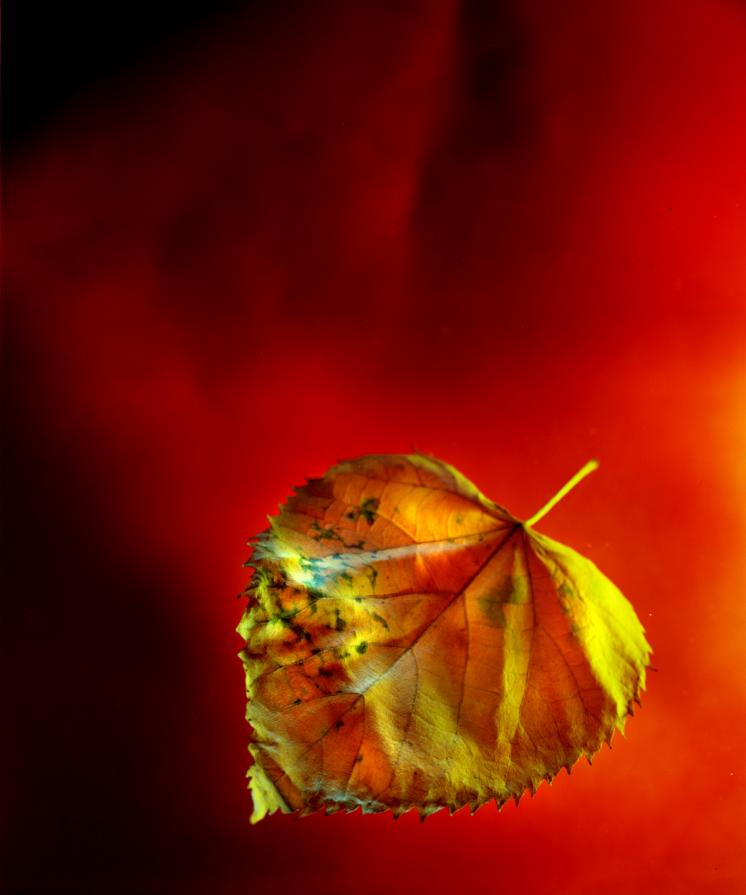 nooooo non gas please... nooooo non gas please...